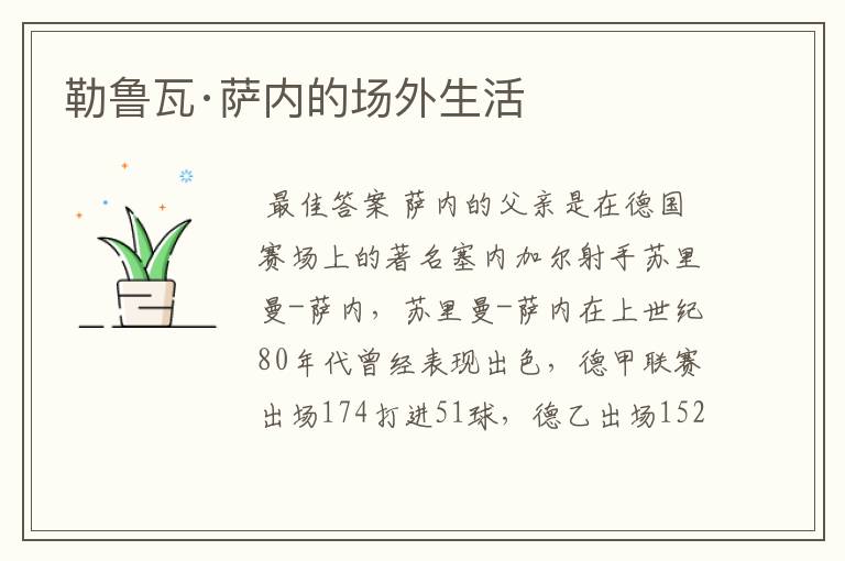 勒鲁瓦·萨内的场外生活
