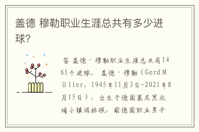 盖德 穆勒职业生涯总共有多少进球?
