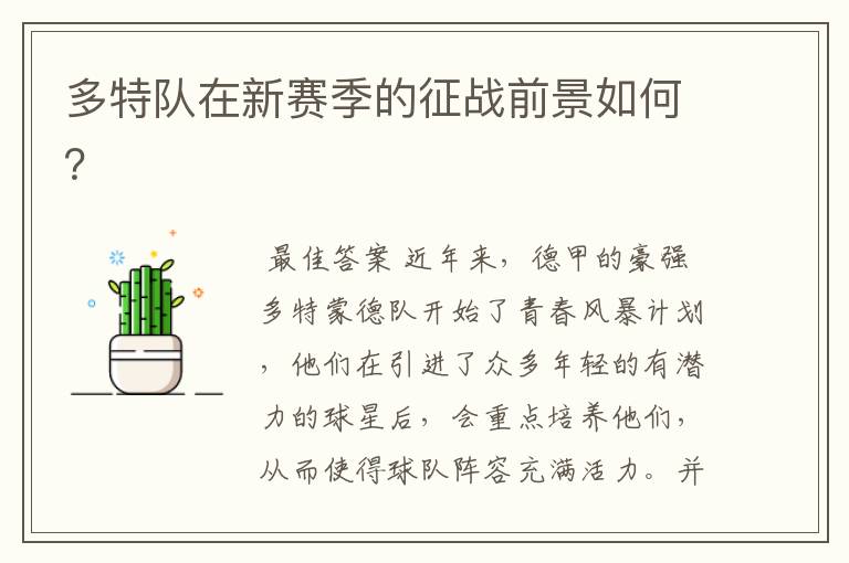 多特队在新赛季的征战前景如何?