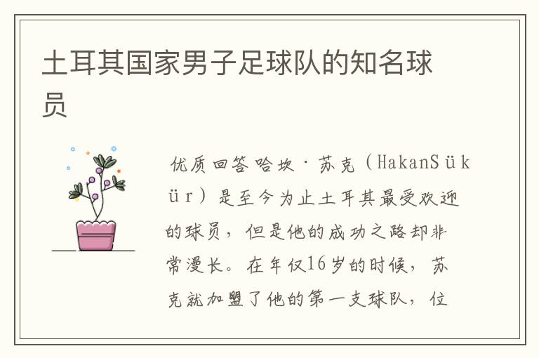 土耳其国家男子足球队的知名球员