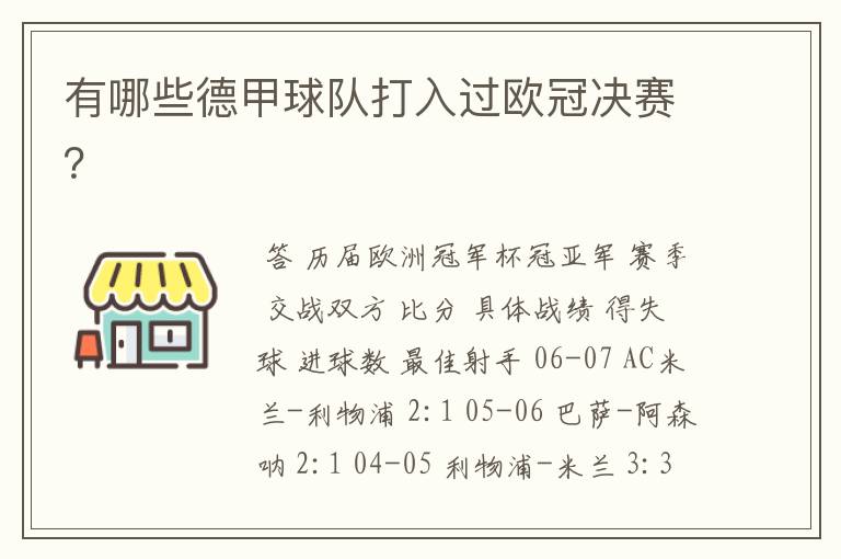 有哪些德甲球队打入过欧冠决赛?