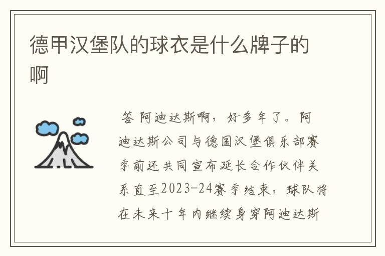 德甲汉堡队的球衣是什么牌子的啊