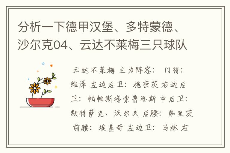 分析一下德甲汉堡、多特蒙德、沙尔克04、云达不莱梅三只球队的人员打法和阵型