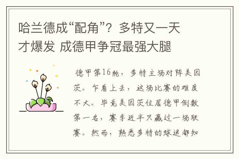 哈兰德成“配角”?多特又一天才爆发 成德甲争冠最强大腿