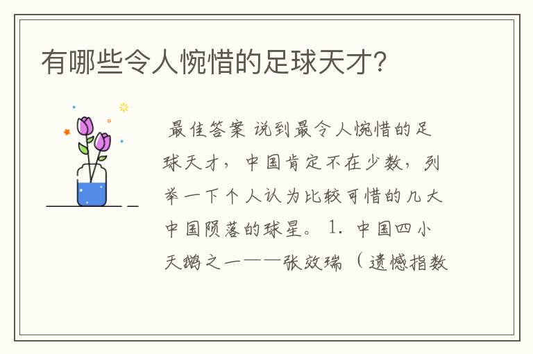 有哪些令人惋惜的足球天才?