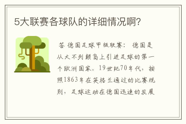 5大联赛各球队的详细情况啊?