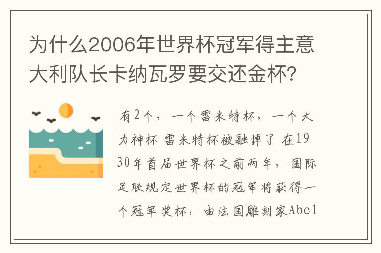 为什么2006年世界杯冠军得主意大利队长卡纳瓦罗要交还金杯?