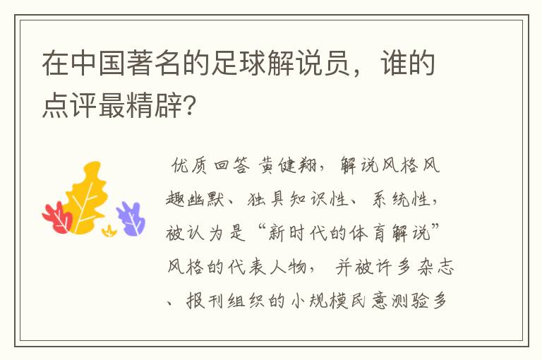 在中国著名的足球解说员,谁的点评最精辟?