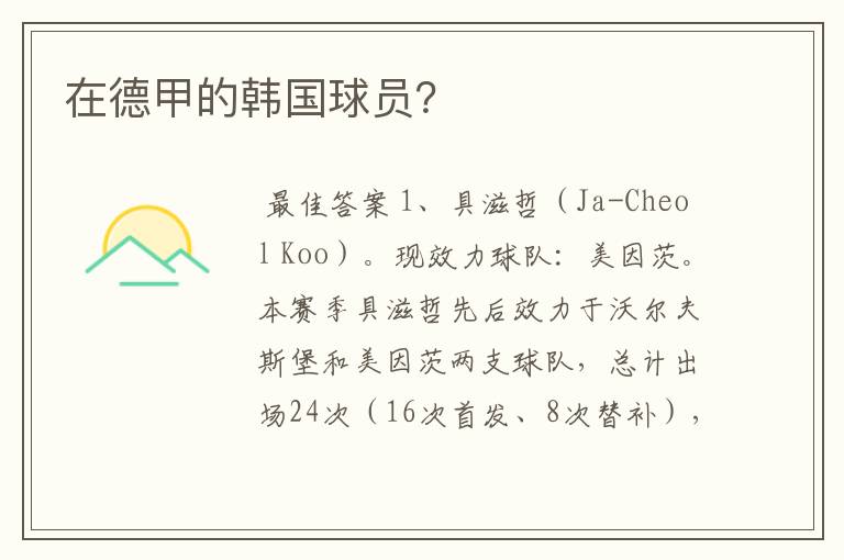 在德甲的韩国球员?