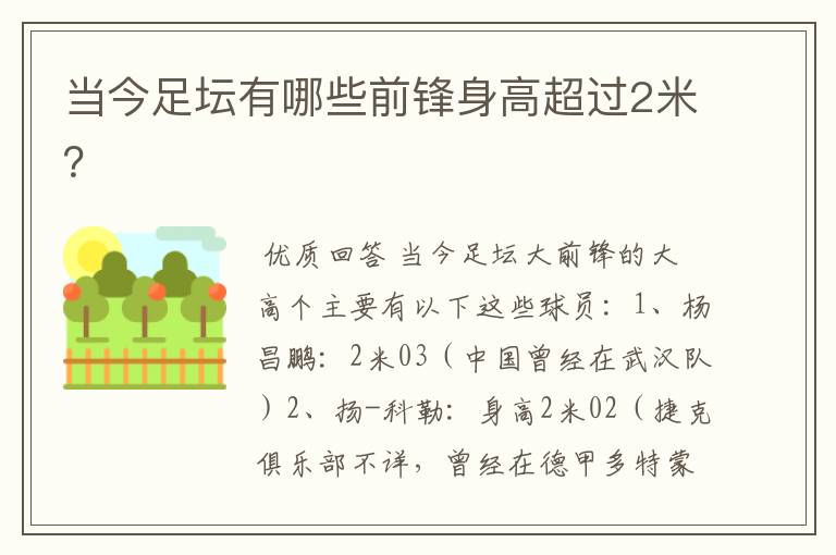 当今足坛有哪些前锋身高超过2米?