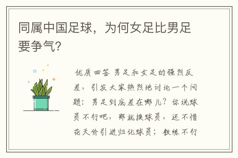 同属中国足球,为何女足比男足要争气?