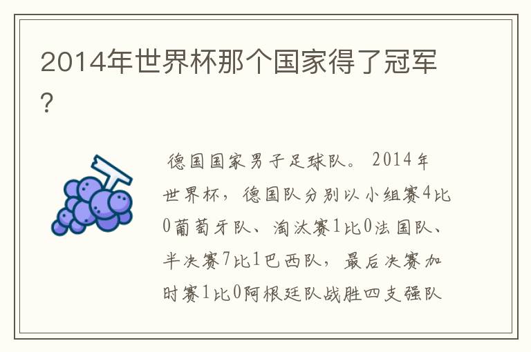 2014年世界杯那个国家得了冠军?