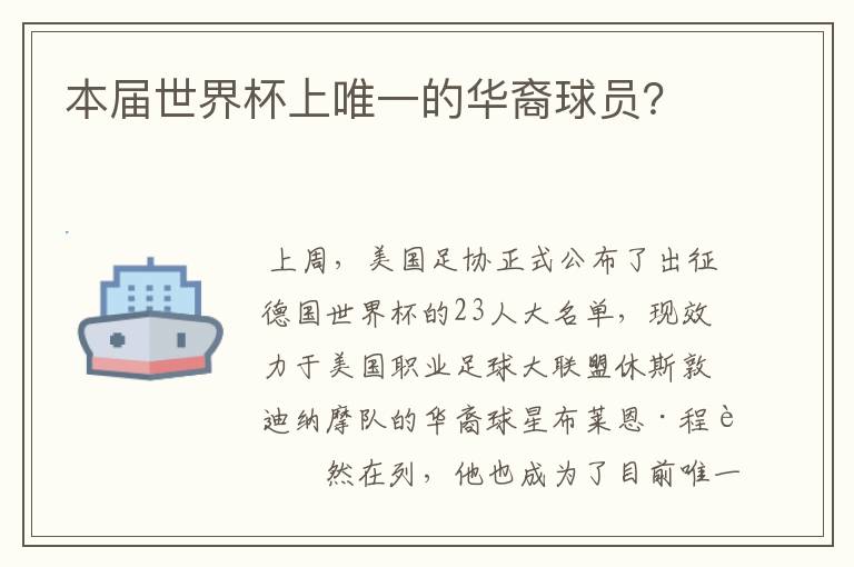 本届世界杯上唯一的华裔球员?