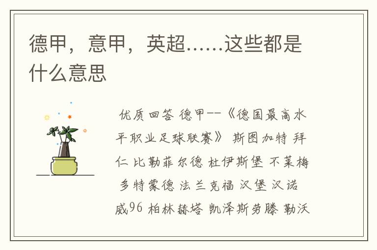 德甲,意甲,英超……这些都是什么意思
