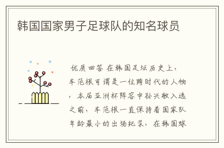 韩国国家男子足球队的知名球员