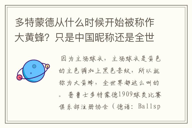 多特蒙德从什么时候开始被称作大黄蜂?只是中国昵称还是全世界范围都这么称呼
