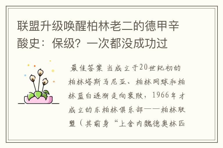 联盟升级唤醒柏林老二的德甲辛酸史：保级？一次都没成功过