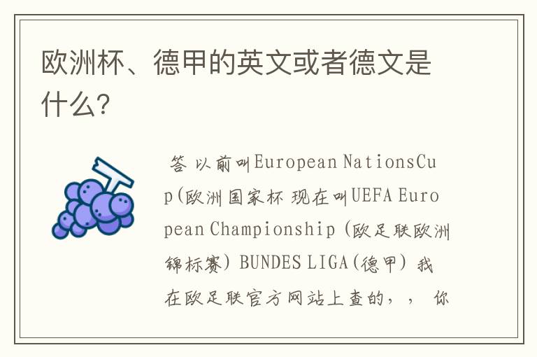 欧洲杯、德甲的英文或者德文是什么?
