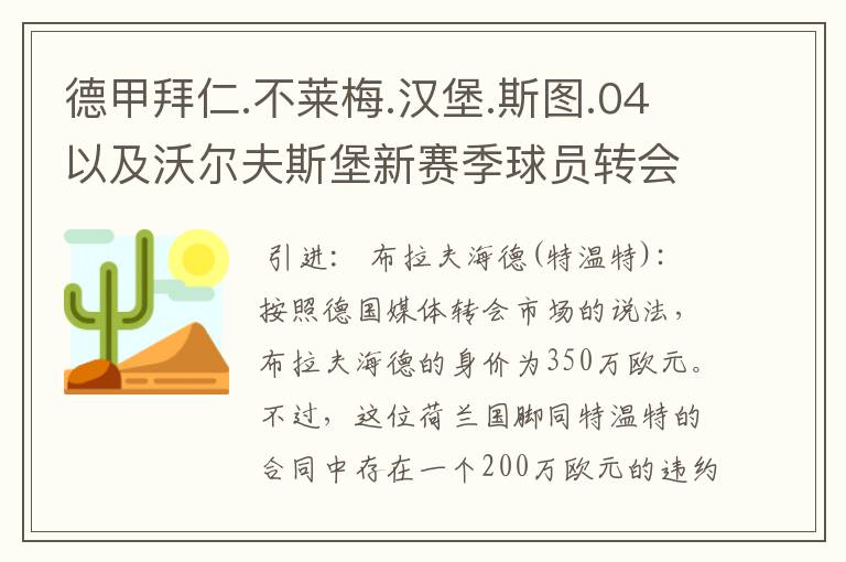 德甲拜仁.不莱梅.汉堡.斯图.04以及沃尔夫斯堡新赛季球员转会一览