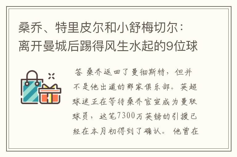 桑乔、特里皮尔和小舒梅切尔:离开曼城后踢得风生水起的9位球员