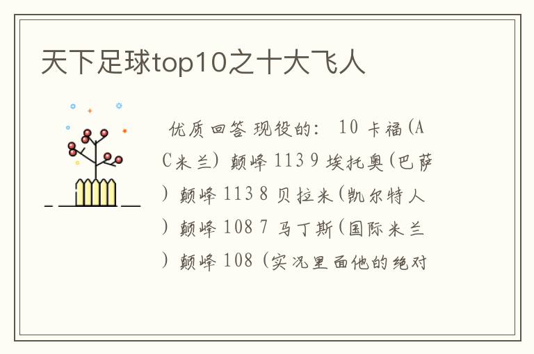 天下足球top10之十大飞人
