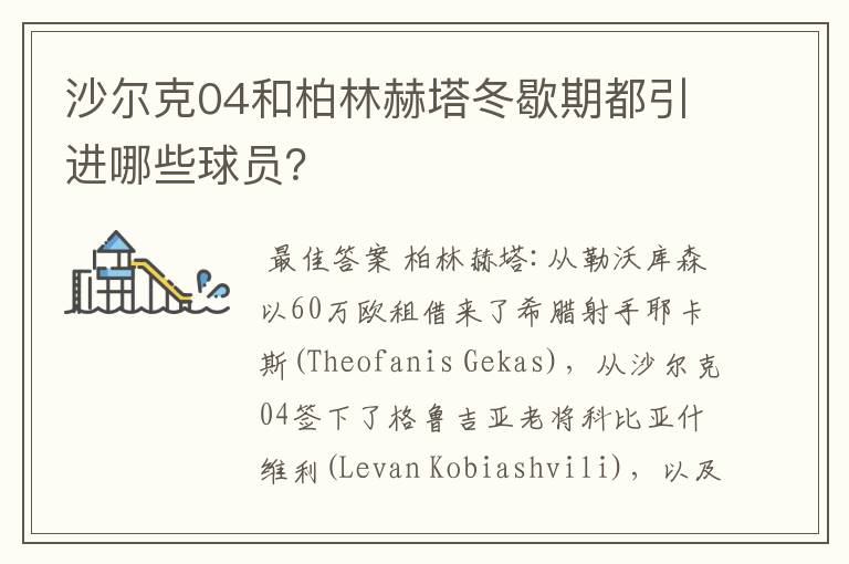 沙尔克04和柏林赫塔冬歇期都引进哪些球员?