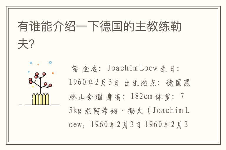 有谁能介绍一下德国的主教练勒夫?