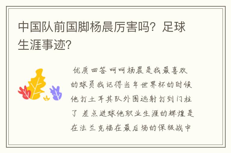 中国队前国脚杨晨厉害吗?足球生涯事迹?