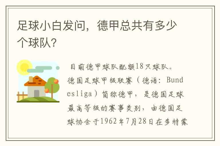 足球小白发问,德甲总共有多少个球队?