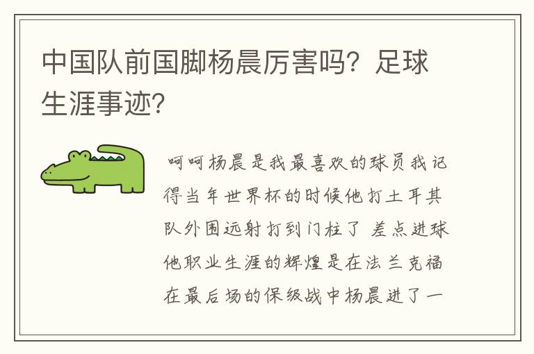 中国队前国脚杨晨厉害吗?足球生涯事迹?