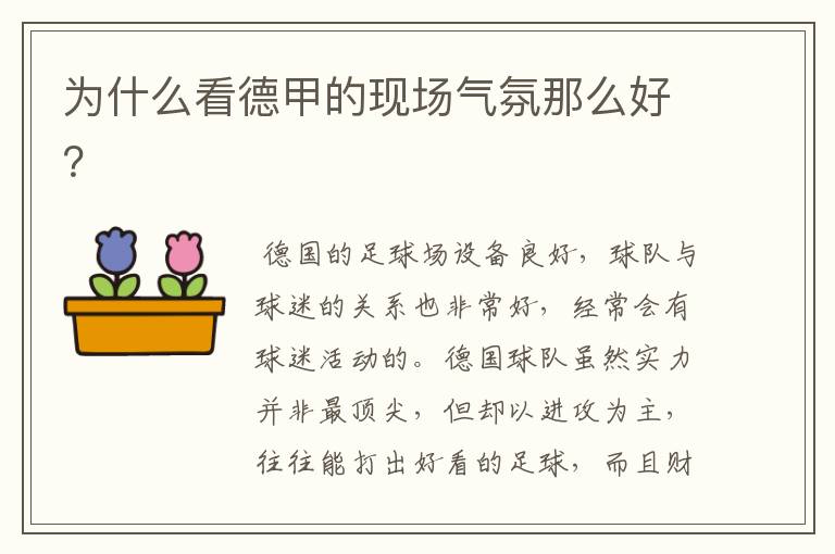 为什么看德甲的现场气氛那么好?
