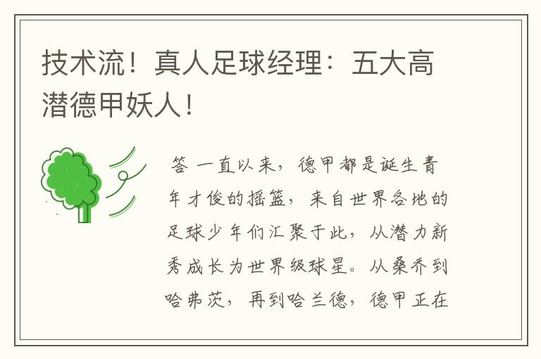 技术流!真人足球经理:五大高潜德甲妖人!