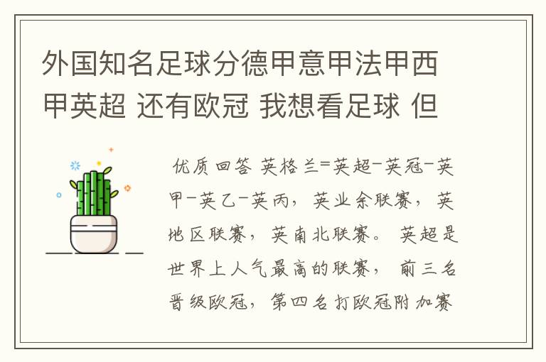 外国知名足球分德甲意甲法甲西甲英超 还有欧冠 我想看足球 但不知道怎么分辨他们怎么进行比赛的