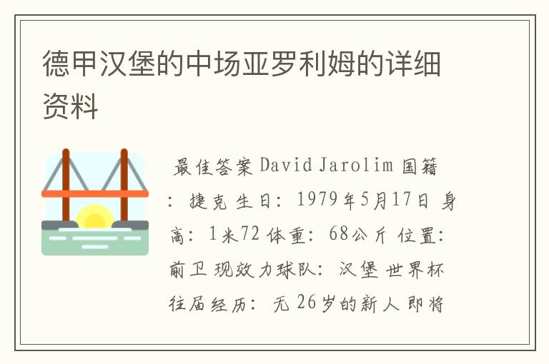 德甲汉堡的中场亚罗利姆的详细资料