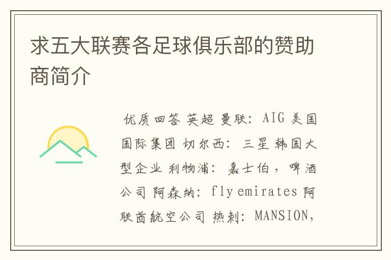求五大联赛各足球俱乐部的赞助商简介