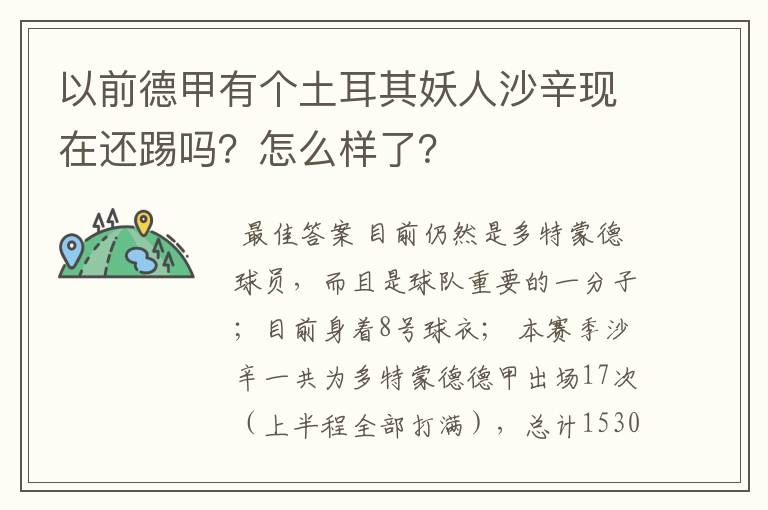 以前德甲有个土耳其妖人沙辛现在还踢吗?怎么样了?