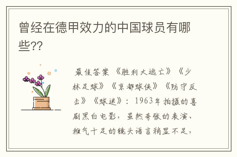 曾经在德甲效力的中国球员有哪些??