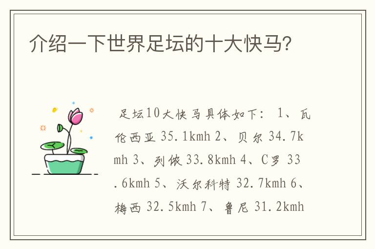 介绍一下世界足坛的十大快马?