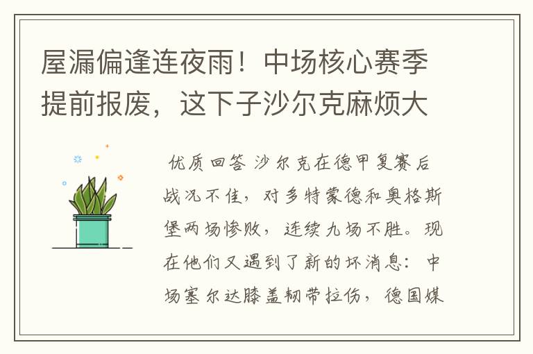 屋漏偏逢连夜雨!中场核心赛季提前报废,这下子沙尔克麻烦大了