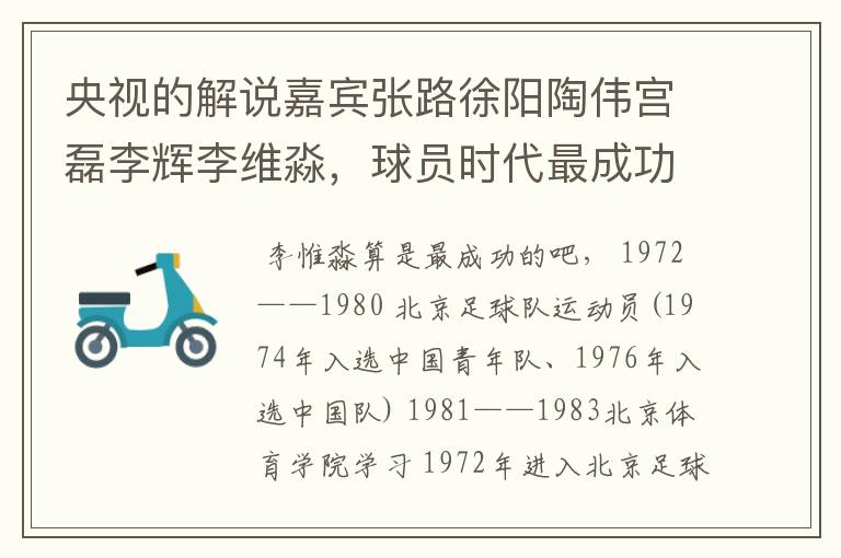 央视的解说嘉宾张路徐阳陶伟宫磊李辉李维淼,球员时代最成功的是谁?他们都是北京人吗?