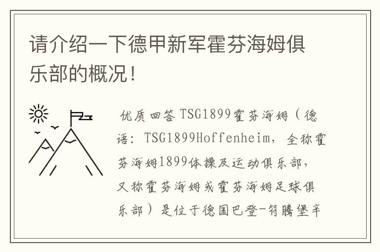 请介绍一下德甲新军霍芬海姆俱乐部的概况!