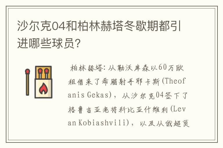 沙尔克04和柏林赫塔冬歇期都引进哪些球员?