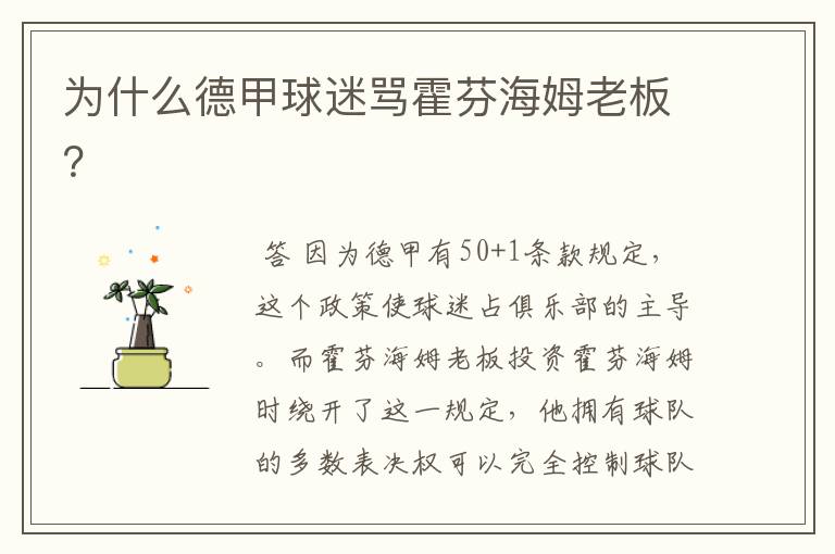 为什么德甲球迷骂霍芬海姆老板?