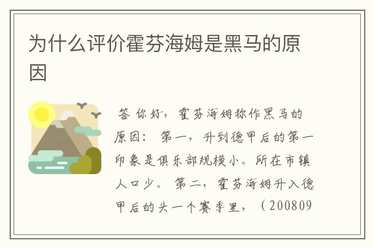 为什么评价霍芬海姆是黑马的原因