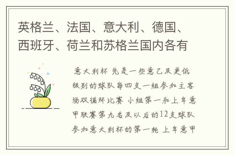 英格兰、法国、意大利、德国、西班牙、荷兰和苏格兰国内各有什么杯赛?