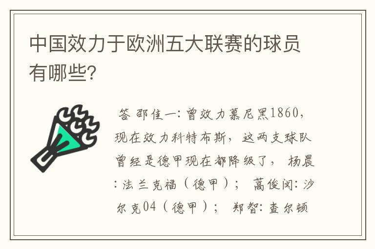 中国效力于欧洲五大联赛的球员有哪些?