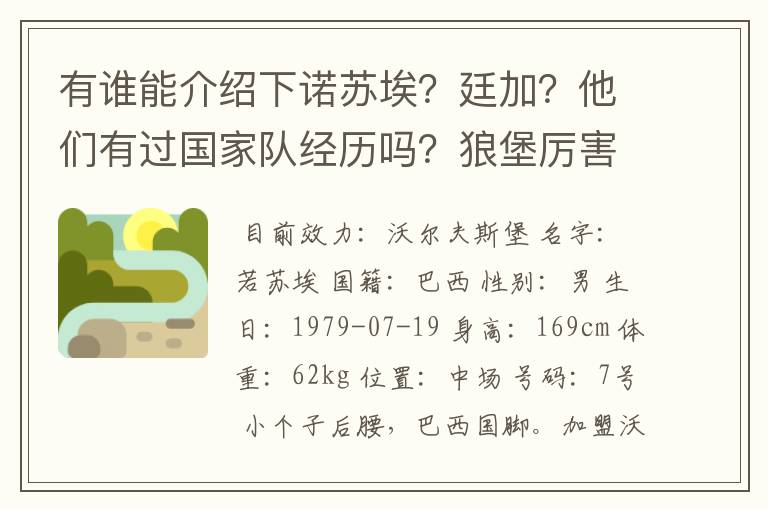 有谁能介绍下诺苏埃?廷加?他们有过国家队经历吗?狼堡厉害吗?它还有哪些明星球员?
