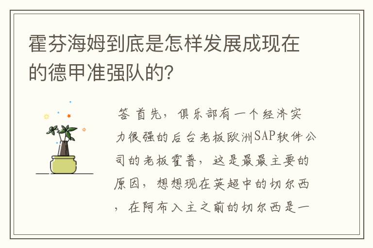 霍芬海姆到底是怎样发展成现在的德甲准强队的?