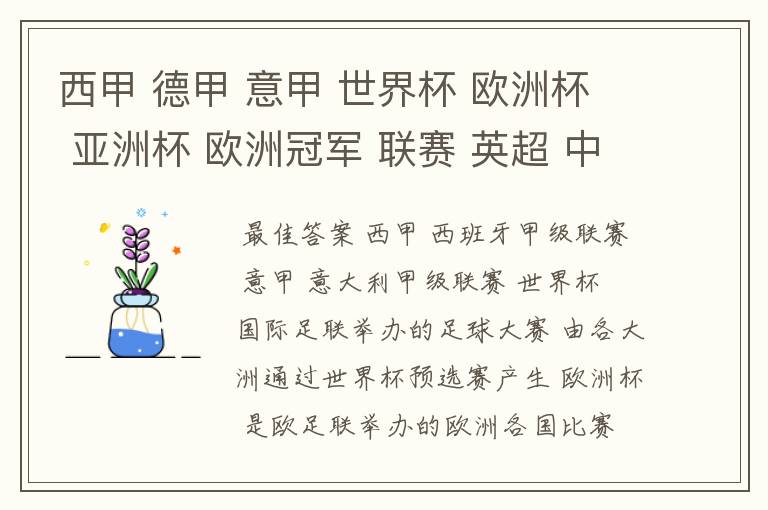 西甲 德甲 意甲 世界杯 欧洲杯 亚洲杯 欧洲冠军 联赛 英超 中超 分别是什么意思啊?