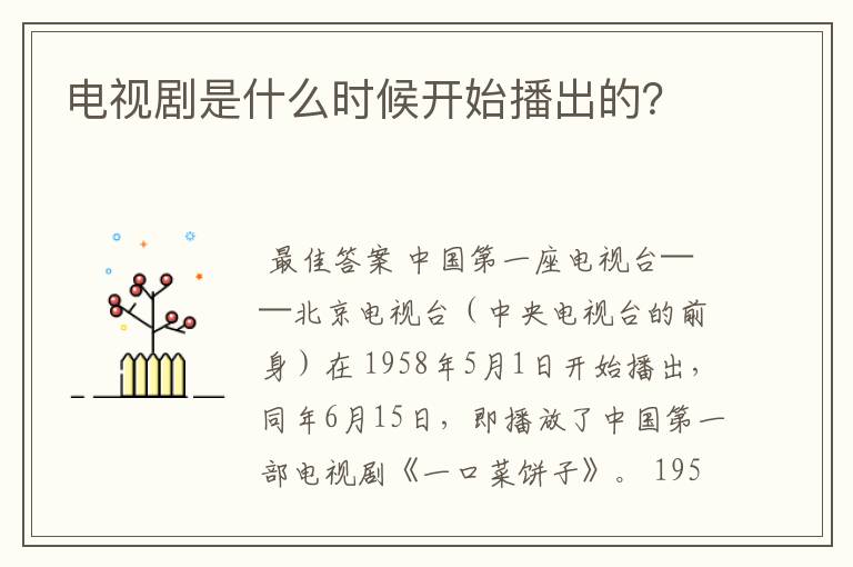 电视剧是什么时候开始播出的？